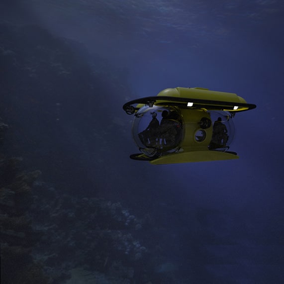 Mini Submarine Dive