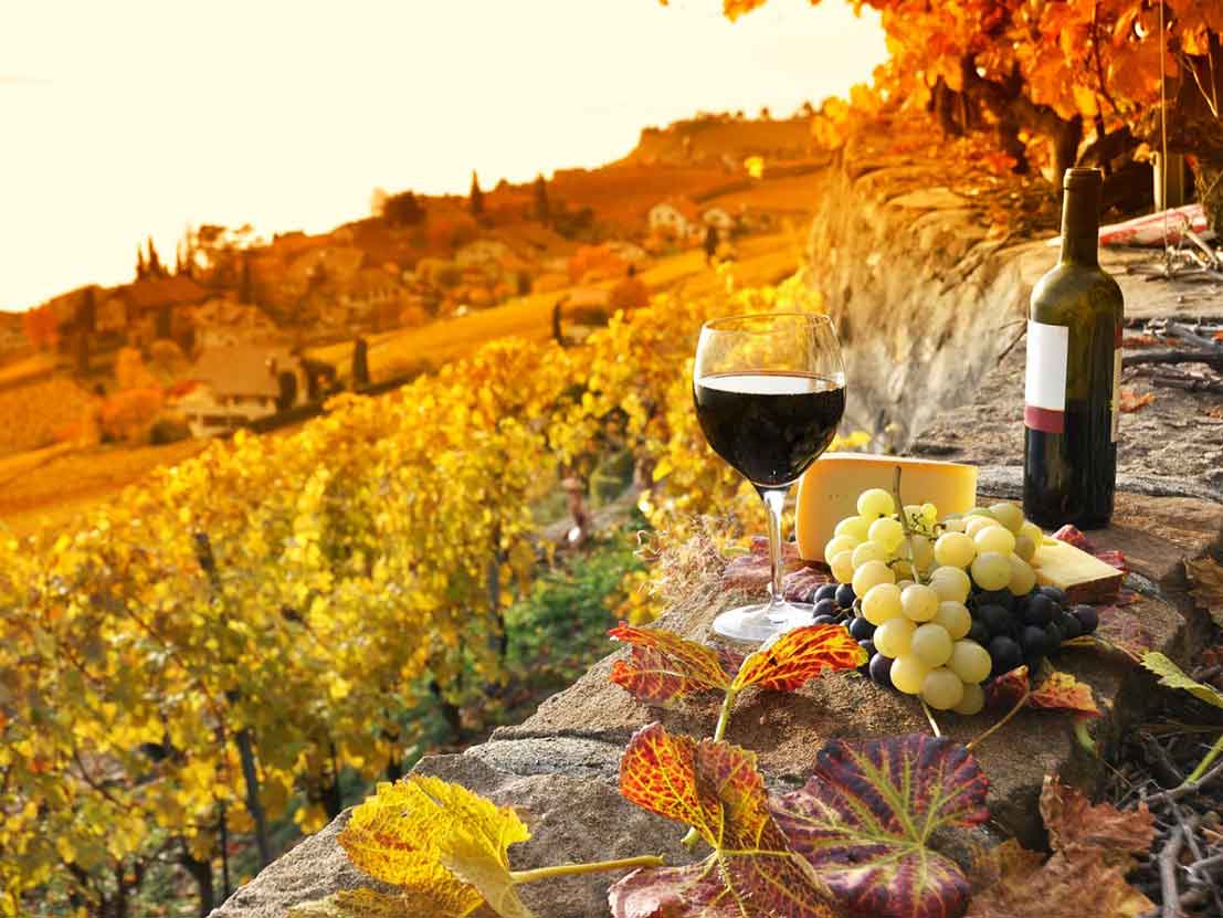 Tuscany Luxury Wine Experience